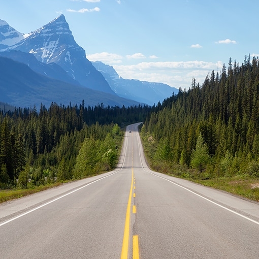 Scenic Road In The Canadian Rockies During A Vibrant Sunny Summer Day